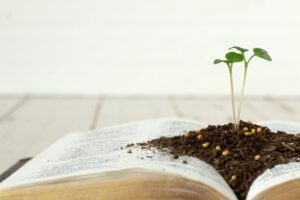 find god